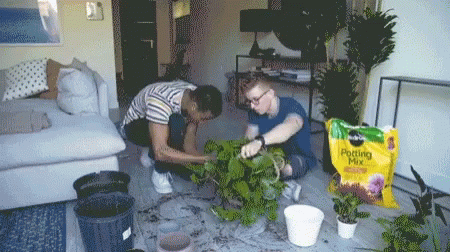 Two Friends Gardening Indoors GIF