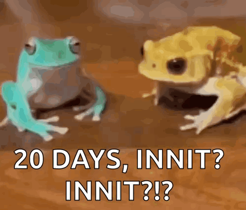 Two Frogs Are Sitting Next To Each Other With The Words 20 Days , Innit ? Innit ? On The Bottom . GIF