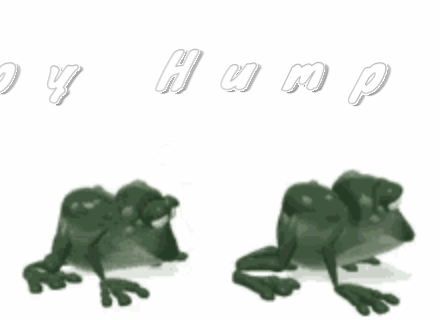 Two Frogs Are Standing Next To Each Other On A White Background With The Words Happy Hump Day GIF