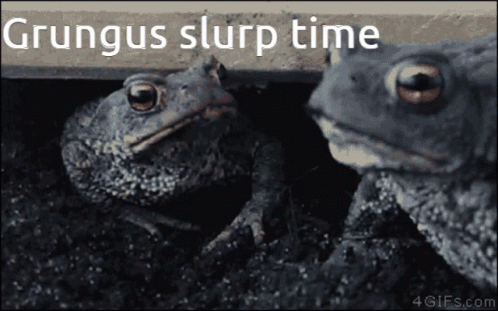 Two Frogs Grungus Slurp Time