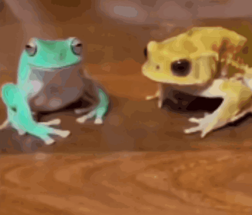 Two Frogs Sitting Next to Each Other