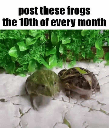 Two Frogs Sitting on Rock