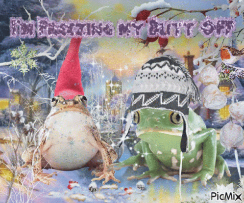 Two Frogs Wearing Knitted Hats Saying Frosting My Butt Off GIF