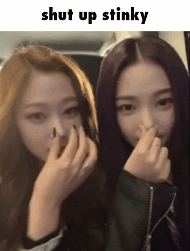 Two Girls Covering Noses Saying Shut Up Stinky