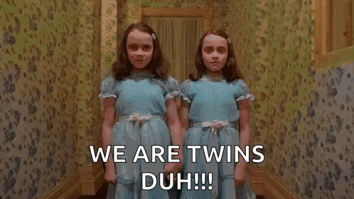 Two Girls in Blue Dresses Saying We Are Twins