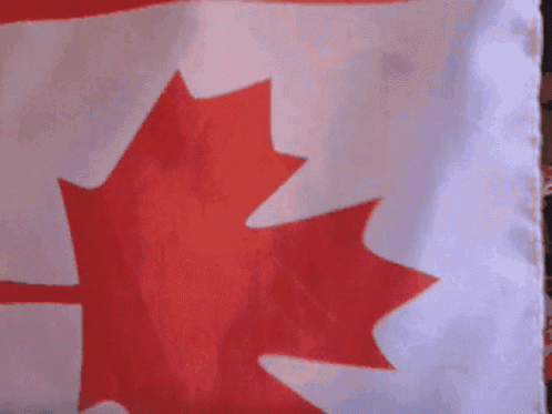 two girls wearing red cowboy hats and holding canadian flags
