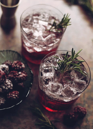 Two Glasses With Ice And Rosemary GIF