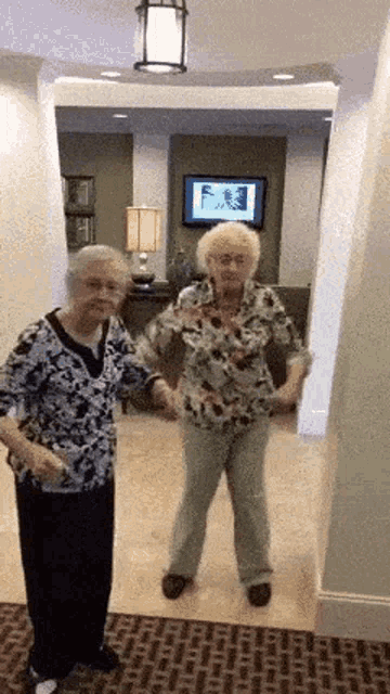 Two Grandma Dancing Slow Funny GIF