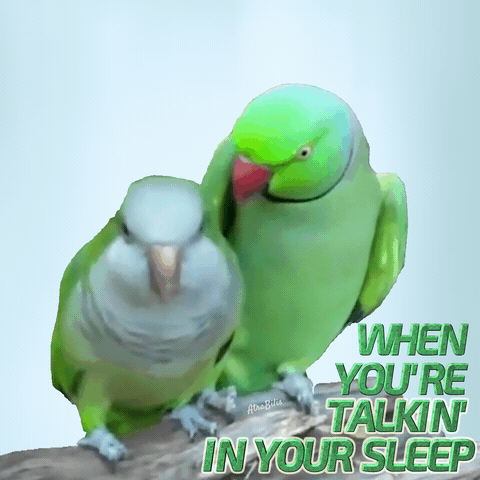 Two Green Birds Standing Next To Each Other With The Words " When You 'Re Talkin ' In Your Sleep " Below Them GIF