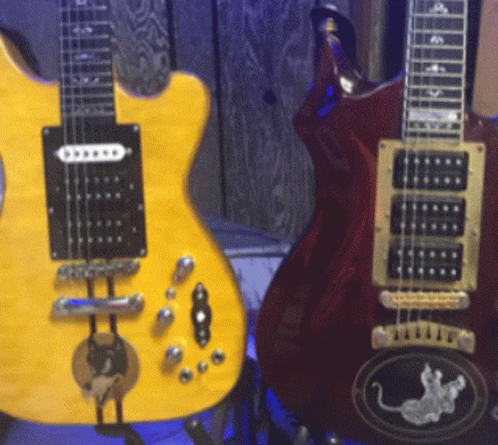 Two Guitars Are Sitting Next To Each Other One Of Which Has A Mouse On The Back GIF