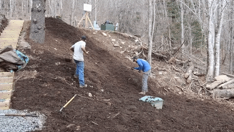 Two Guys Evening Out Mulch On Hillside GIF