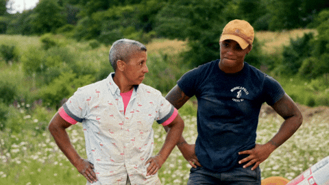 Two Guys Too Bad GIF