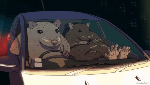 Two Hamsters Driving Car with A Plate