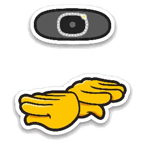 Two Hands Holding Camera