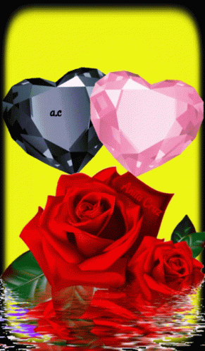 Two Hearts and Two Red Roses with Yellow Background