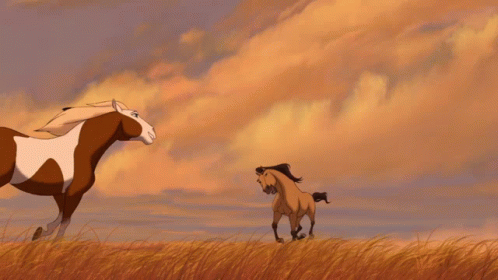 Two Horses Are Standing On Their Hind Legs In A Field With A Cloudy Sky In The Background GIF