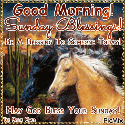 Two Horses Good Morning Sunday Blessings GIF
