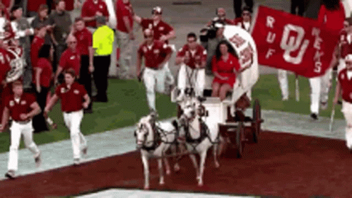 Two Horses Pulling A Wagon With A Banner That Says Ruff On It GIF
