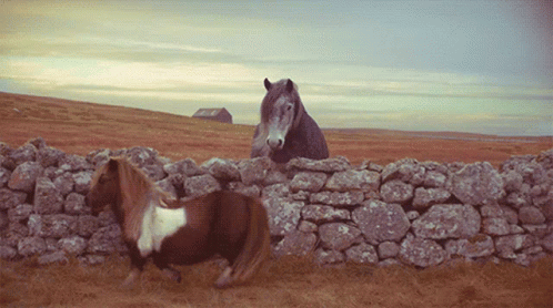 Two Horses Standing Next to Stone Wall on Hillside