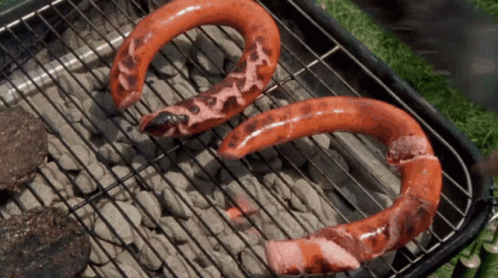 Two Horseshoe Shaped Sausages Are Cooking On A Barbecue Grill GIF