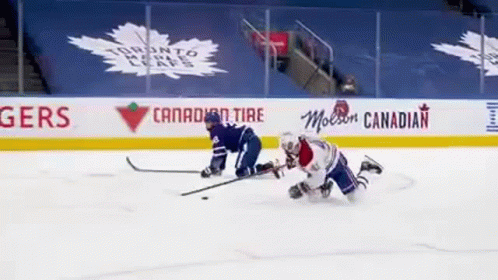 Two Ice Hockey Players Are Playing A Game On The Ice In Front Of A Canadian Tire Banner . GIF