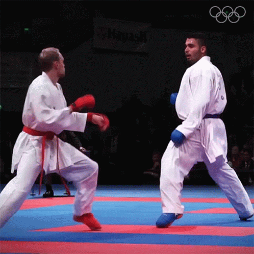 Two Karate Fighters Are Fighting On A Mat With A Sign That Says Hayati On It GIF