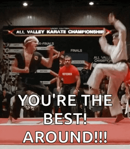 Two Karate Fighters Jumping You're The Best Around! GIF