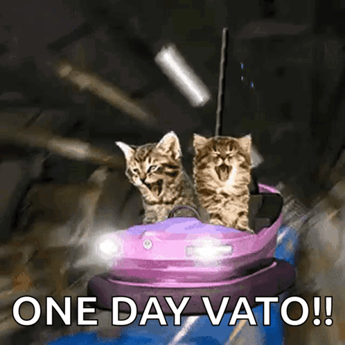 Two Kittens Are Riding On A Purple Bumper Car With The Words One Day Vato Below Them GIF