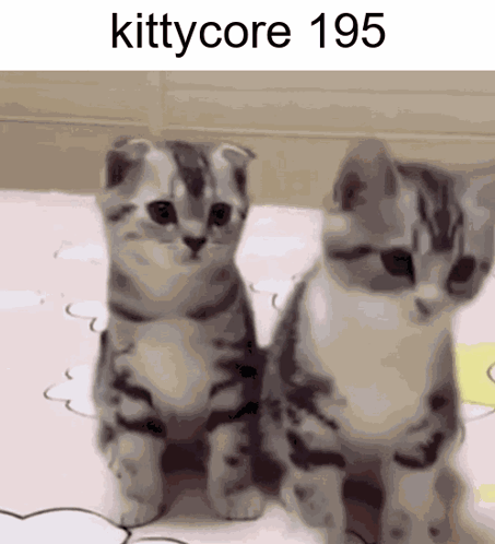 Two Kittens Are Standing Next To Each Other And The Text Kittycore 195 Is Above Them GIF
