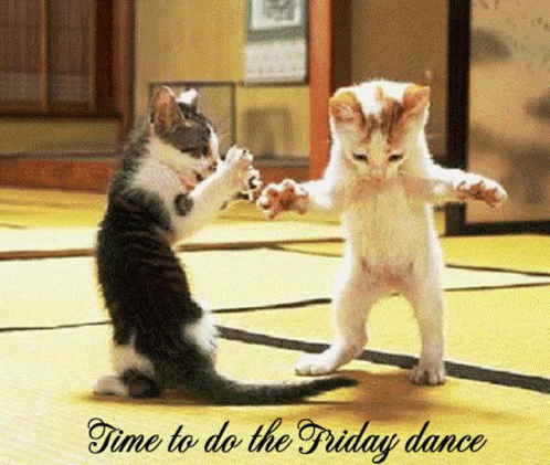 Two Kittens Dancing Time To Do The Friday Dance GIF