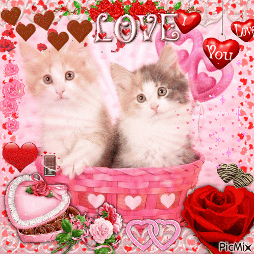 Two Kittens In Pink Basket With Hearts And Love GIF