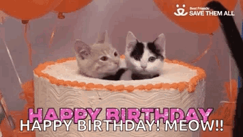 Two Kittens Sticking Heads Out of Cake