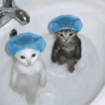 two kittens wearing blue shower caps are sitting in a sink