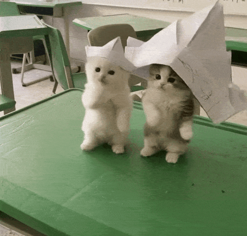 Two Kittens Wearing Paper Hats