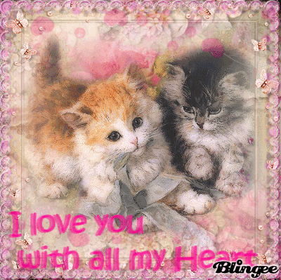 Two Kittens With I Love You Heart