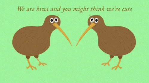 Two Kiwi Birds Are Standing Next To Each Other With A Kiwi Slice In Front Of Them GIF