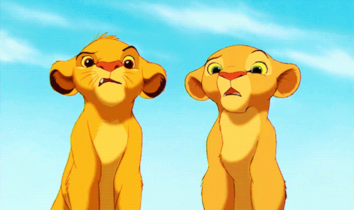 Two Lion King Cubs Sitting Together