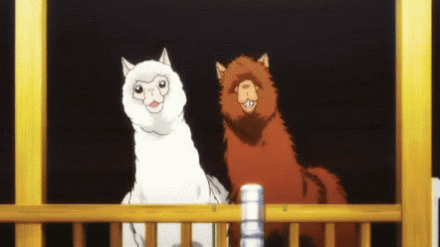 Two Llama Dancing GIF