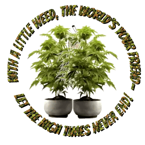 Two Marijuana Plants With The World Is Your Friend