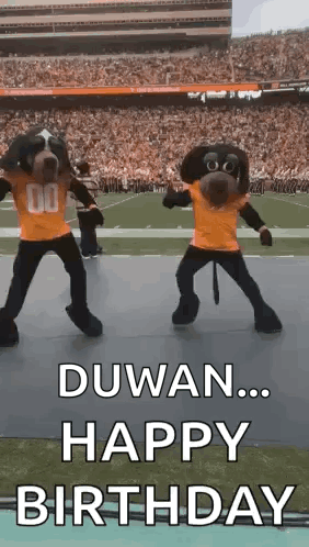 Two Mascots Are Dancing On A Football Field With The Words Duwan ... Happy Birthday Written Below Them . GIF
