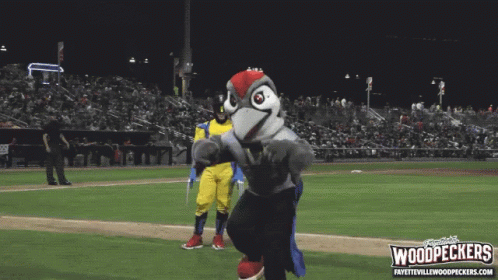 Two Mascots on Baseball Field With Woodpeckers Logo