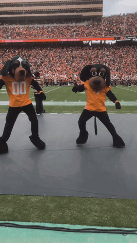 Two Mascots Wearing Orange Shirts With The Number 00 GIF