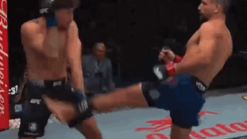 Two Men Are Fighting In A Boxing Ring And One Is Kicking The Other In The Face . GIF