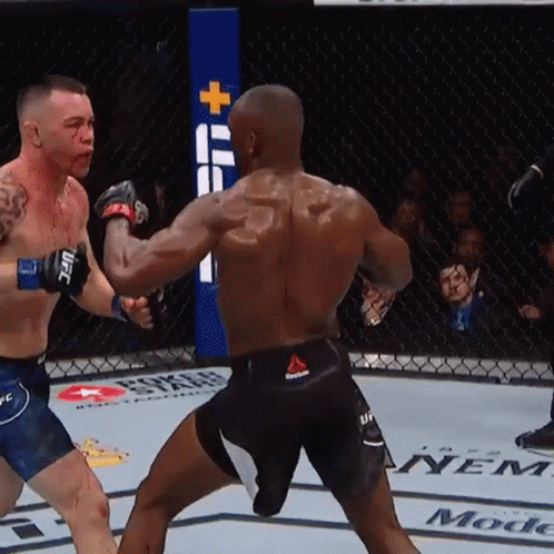 Two Men Are Fighting In A Boxing Ring And One Of Them Has Reebok Shorts On GIF