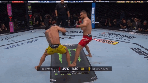 Two Men Are Fighting In A Boxing Ring With A Bud Light Banner On The Side GIF