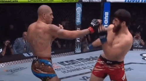 Two Men Are Fighting In A Boxing Ring With A Budweiser Sign In The Background GIF