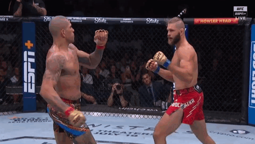 Two Men Are Fighting In A Boxing Ring With A Sign That Says Howler Head On It GIF