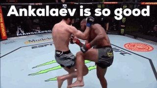Two Men Are Fighting In A Boxing Ring With The Words `` Ankalaev Is So Good '' Written Above Them . GIF