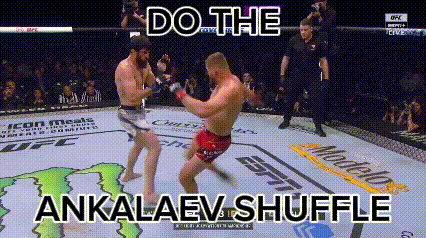 Two Men Are Fighting In A Boxing Ring With The Words Do The Ankalev Shuffle Written On The Bottom GIF