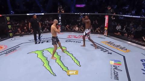 Two Men Are Fighting In A Boxing Ring With Ufc Written On The Floor GIF
